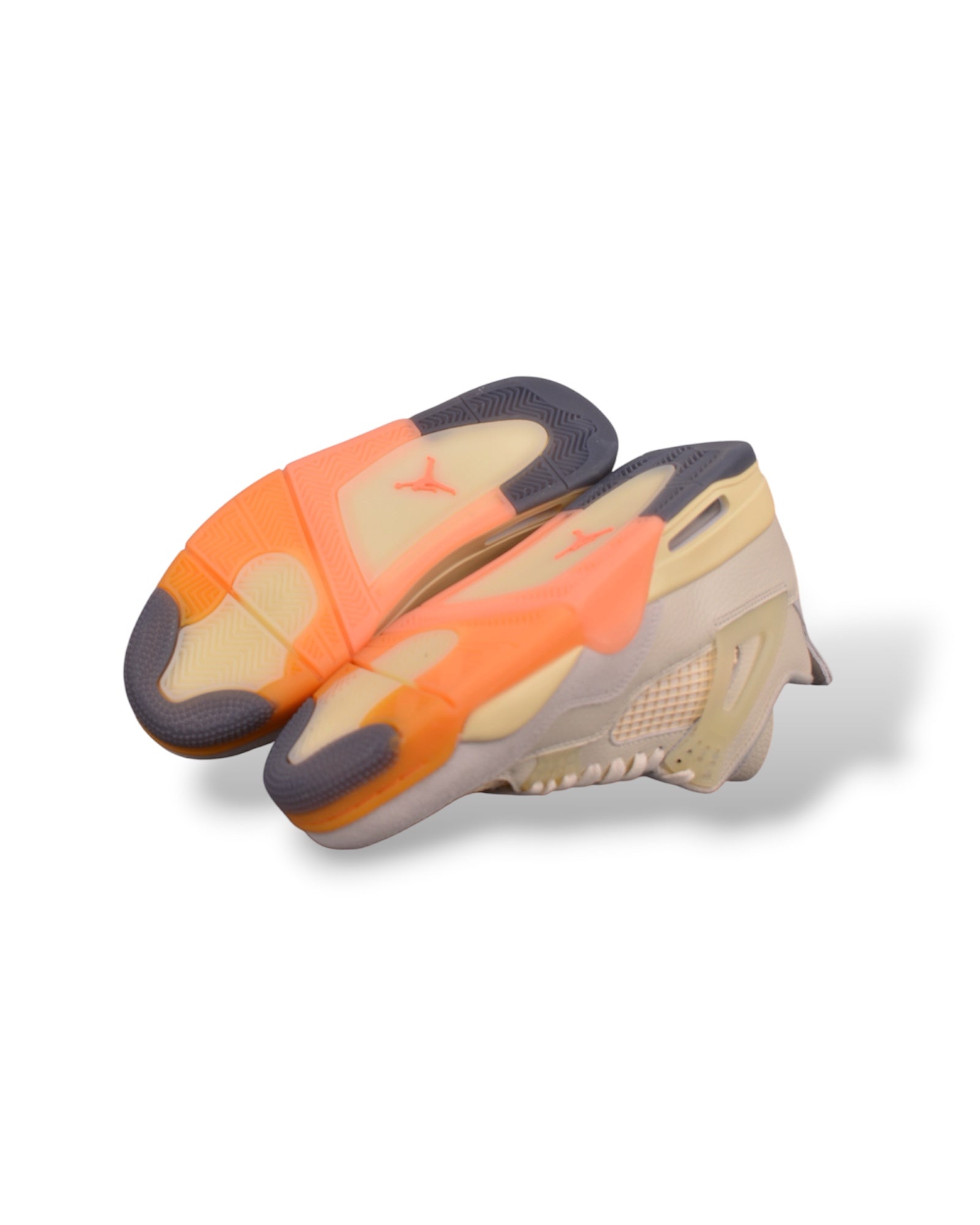 Air Jordan 4 "Birds of Paradise" 2026