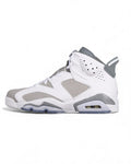 Air Jordan 6 "Cool Grey"